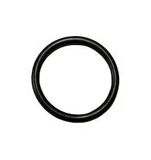 #019 O Ring For Magnum Dx Inlet Valve 1