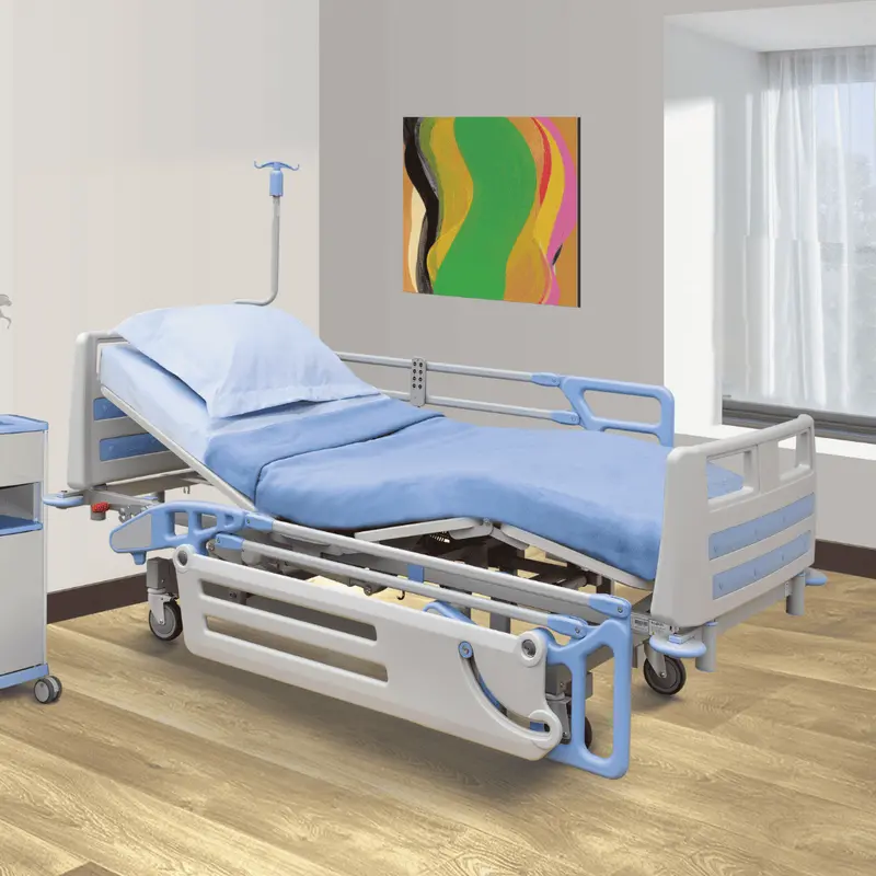 3 Functions Hospital Electric Bed With Mattress, Iv Pole, Urine Bag Holder | Aim Healthcare 1
