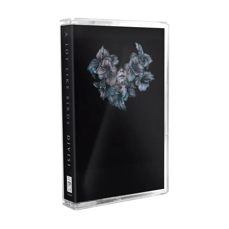 Divisi Cassette 1