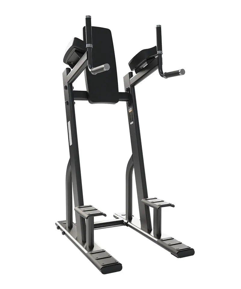 Prestige Vertical Knee Raise 1