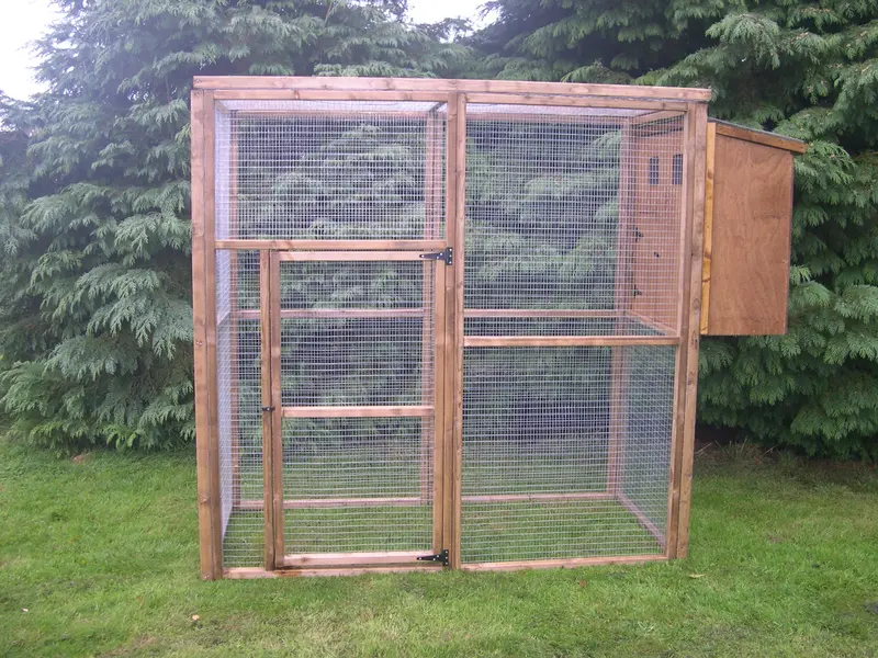 Standard Cat Aviary 6' X 6' 1