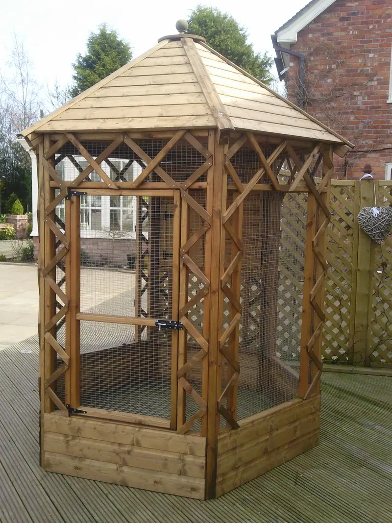 Victorian Hexagonal Cat Aviary 1